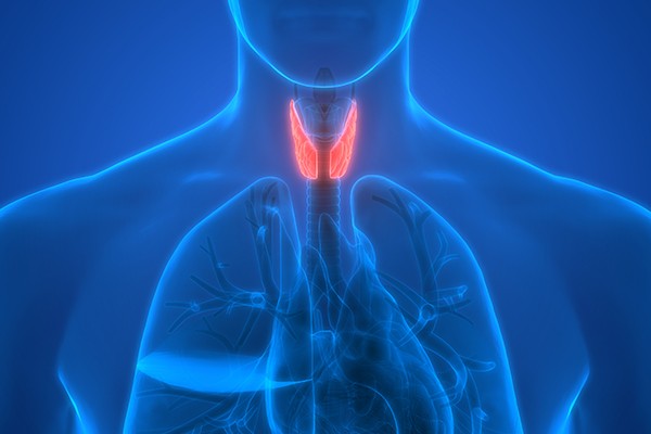 Common-Signs-of-Thyroid-Problems-You-Should-Know