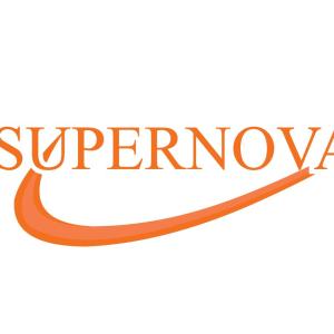Supernova Asbestos Surveys